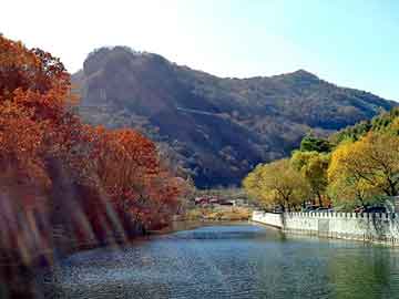 澳门二四六天天彩图库，平顶山seo排名